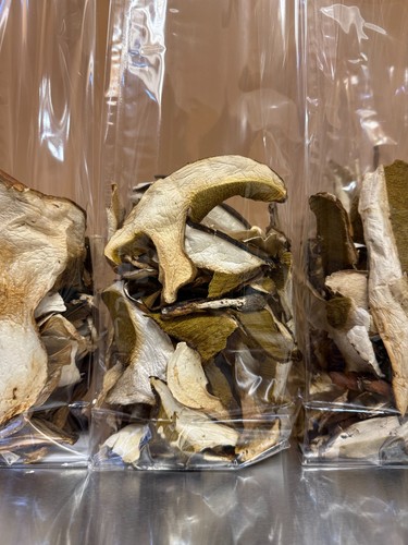 Funghi porcini secchi alta - funghi,
