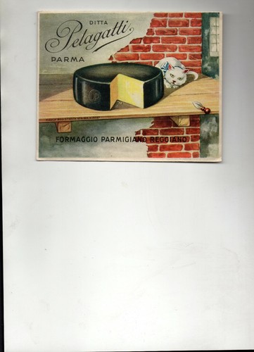 Parmigiano reggiano parma - ,