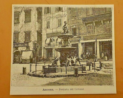 Ancona fontana dei - fontana, cavalli
