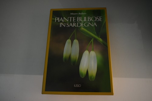 Ballero piante bulbose - ballero, in