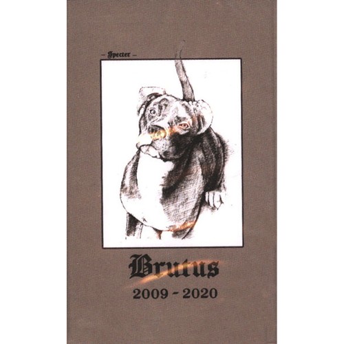 Specter brutus 2024 us - (2024,