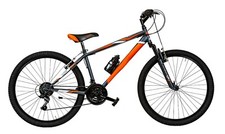 Bicicletta mtb molleggiata - bicicletta,