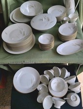 Set rosenthal regina - 93,