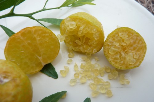Limone caviale ovale - caviale,