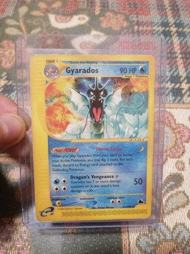 Pokemon gyarados skyridge - gyarados,