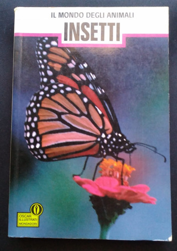 Insetti mondo degli - insetti,