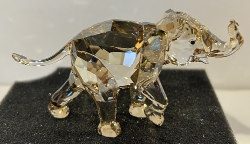 Swarovski scs 2013 giovane - 2013,
