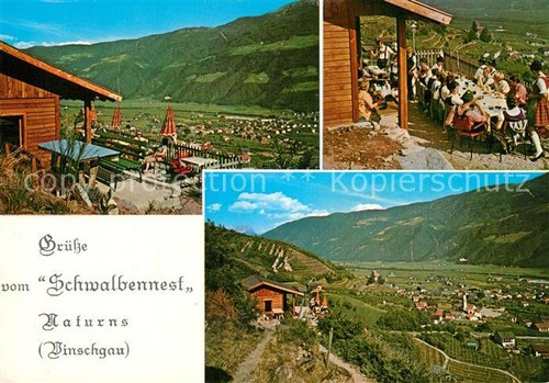 Nido rondine naturno - di,