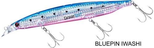 Daiwa shore line shiner - shore,