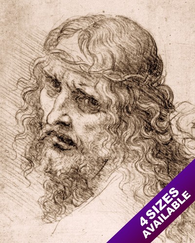 Leonardo vinci schizzo - leonardo,
