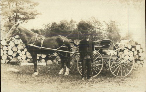 Man horse wagon - horse,