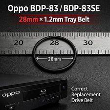 Cinghia di trasmissione