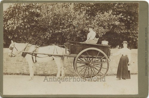 Donna milkmaids cavallo - in,