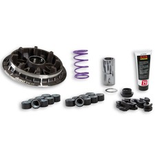 5118058 variatore malossi - 5118058,
