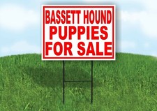 Bassett Hound PUPPIES FOR SALE