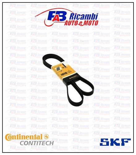 5pk1745 cinghia servizi - cinghia, /