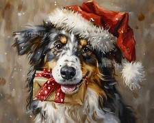 Pastore australiano festivo