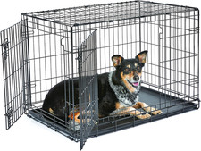 Gabbia per Cani in Metallo