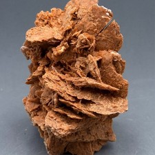 ROSA DE YESO - Gypsum - La