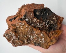 Splendido grande piatto di