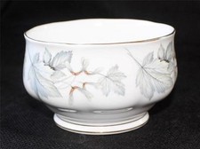 Vintage Royal Albert Osso Cina