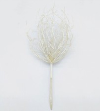 Ramo di Corallo Bianco -