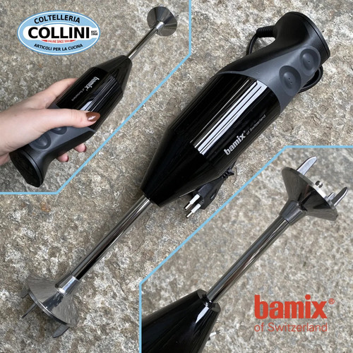 Bamix gastro200 mixer ad - bamix,