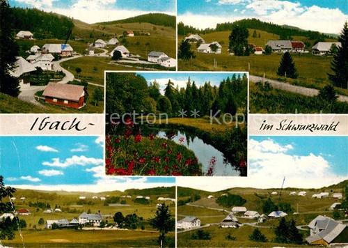 Ibach blasien vista - ibach,