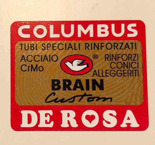 Columbus rosa brain - columbus,