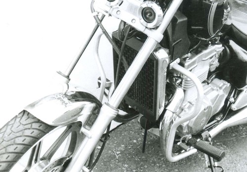 Protezione motore kawasaki - protezione,