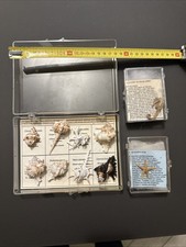 Collezione Di Conchiglie Piccola Con Cavalluccio Marino 