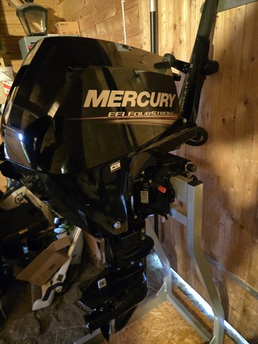 Iniezione mercury f20 efi - f20,