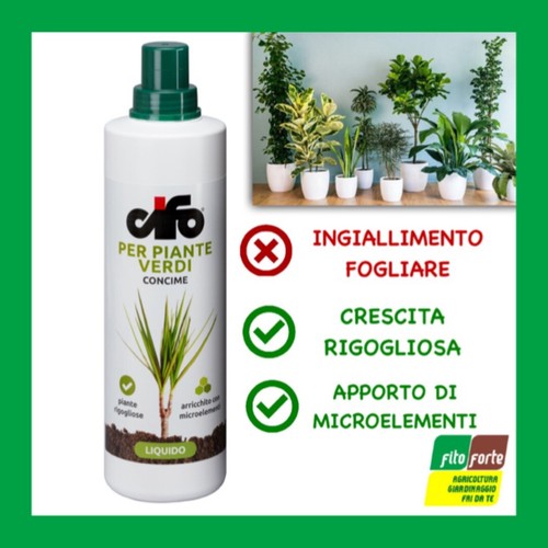 Concime liquido per - concime, piante