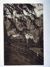 STAVA TESERO Albergo Erica val di Fiemme Trentino Trento vecchia cartolina