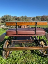 2 Calessi per cavalli grandi