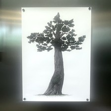 THIBAUD HEREM TREE Herman Miller OP ART STAMPA USA MCM LONDRA UK