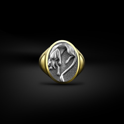Anello uomo con sigillo - anello,