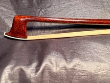 Buon antico! Violino, violino