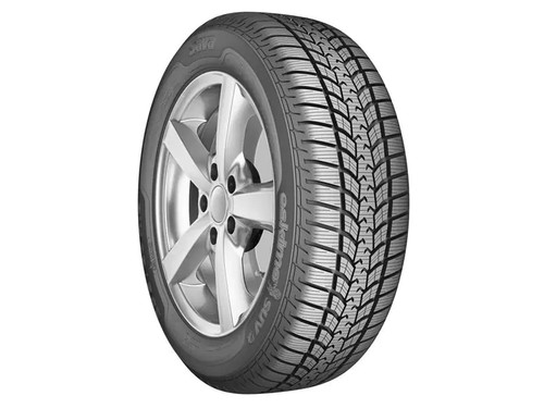 Offerta gomme invernali sava - gomme,