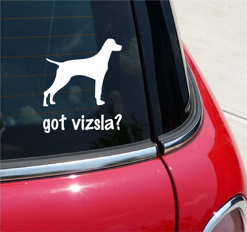 Got vizsla adesivo grafico - vizsla?,