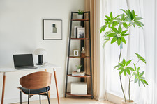 Elegante libreria angolare