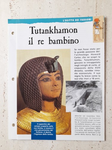 Clipping egitto storia - clipping,
