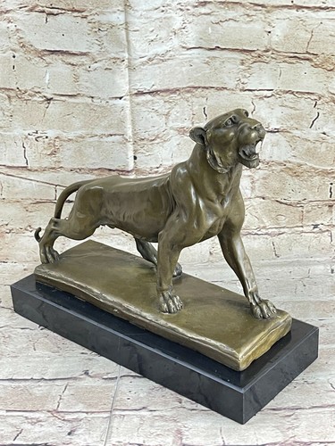 Raro jaguar panther leopardo - raro,