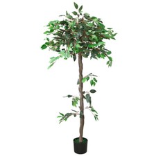 Ficus benjamin pianta finta - ficus,