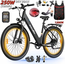 Bicicletta Elettrica 36V20AH