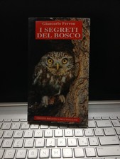 I segreti del bosco, giancarlo
