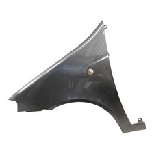 Parafango Anteriore Sinistro FIAT PUNTO 2 Serie 3-5 Porte USATO ORIGINALE