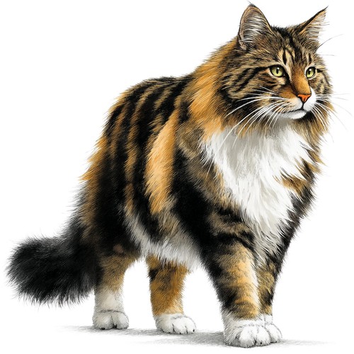 Adesivi gatto delle - 4,