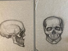 Lotto 2 Disegno Natura Morta A