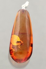 Genuine BALTIC AMBER Honey